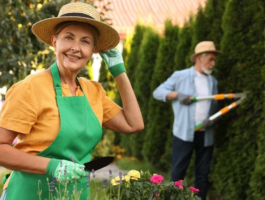 Nie pozbywaj się gałęzi i liści w ognisku. Słono za to zapłacisz