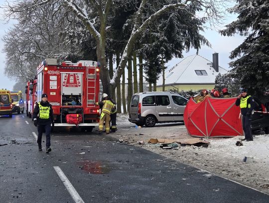 Nie żyje matka i jej 4-letnia córka. Tragedia w Wielkopolsce