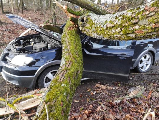 Niebezpieczne załamanie pogody. Nadciągają wichury i burze