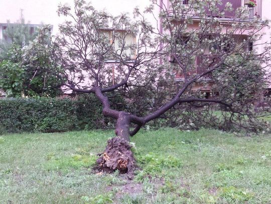 Niespokojna noc za nami. Czy dziś pogoda się poprawi?