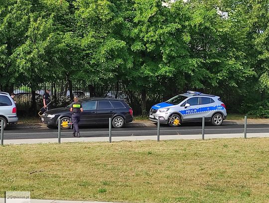 Nietypowa interwencja. Straż miejska założyła blokadę na radiowóz