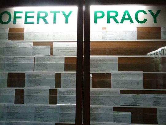 Nowe oferty pracy