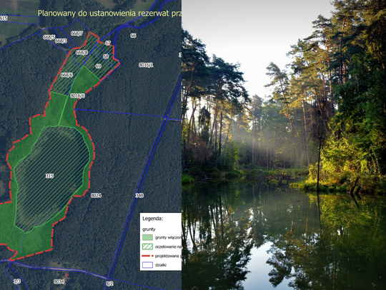 Nowe rezerwaty przyrody w regionie. Lista i mapy