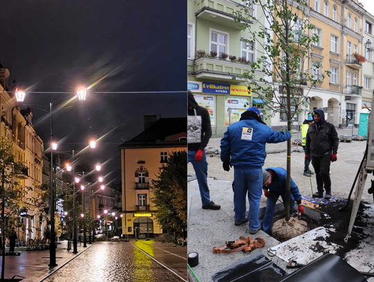 Nowe światło padło na rynek. Dosadzają też nowe drzewa