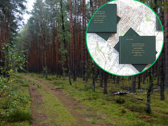 NOWY plan urządzenia lasu dla Nadleśnictwa Grodziec