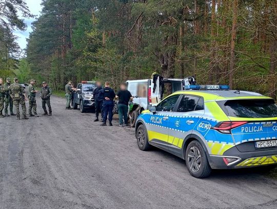 Nowy sposób „dilowania”. Las, łopaty, geolokalizatory