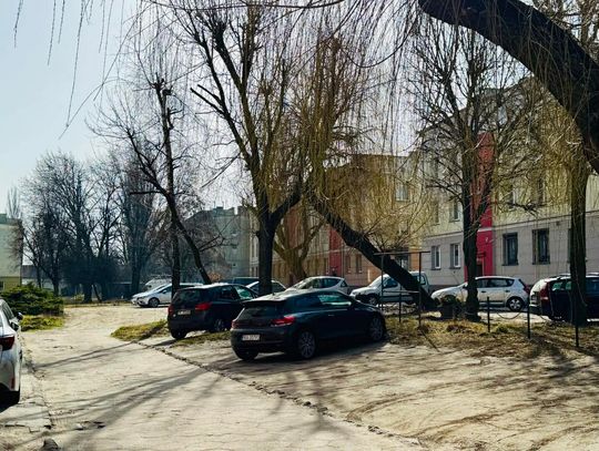 Nowy Świat do przebudowy. Miasto analizuje trzy oferty