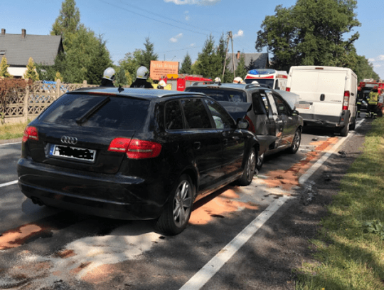 Obsługiwała kolizję, zaatakował ją pies. Policjantka ugryziona przez owczarka niemieckiego