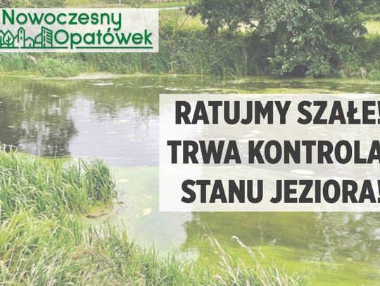 Oczyszczą Szałe?