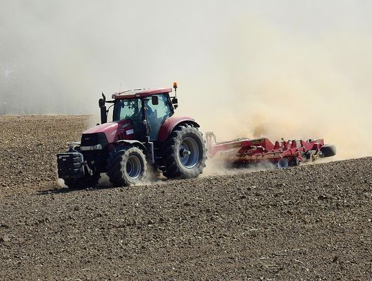 Odczują to nie tylko rolnicy i leśnicy. Są pierwsze objawy niebezpiecznego zjawiska