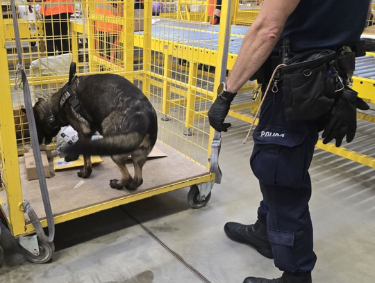 𝐎𝐩𝐞𝐫𝐚𝐜𝐣𝐚 ,,𝐊𝐑𝐘𝐒𝐙𝐓𝐀Ł'': Policja prześwietliła tysiące paczek. Narkotyki w przesyłkach kurierskich