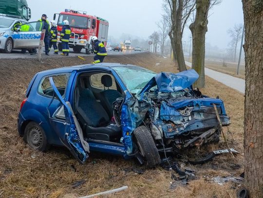 Osobówką w drzewo. Wypadek na krajowej „11” ZDJĘCIA