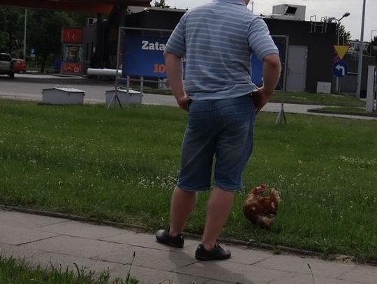 Ostatni spacer przed pójściem pod topór?