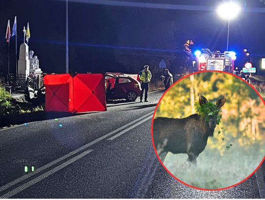 Ostrzeżenie leśników. „Kilka ważnych faktów”