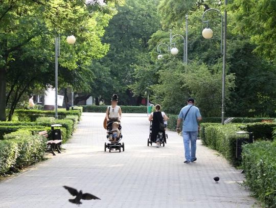 Otwarte parki i lasy, więcej osób w sklepach i kościołach. Od poniedziałku pierwszy etap zdejmowania ograniczeń