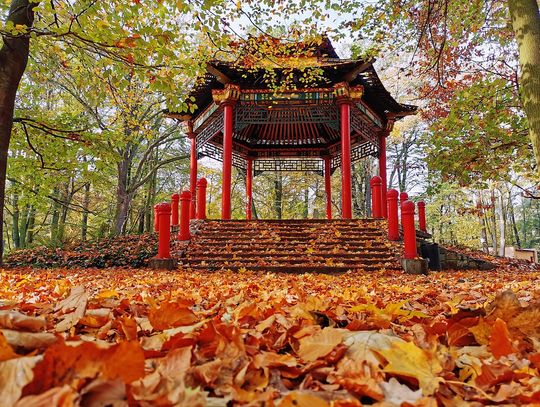 Pagoda chińska do remontu. Uda się zdobyć 200 tysięcy zł w konkursie?