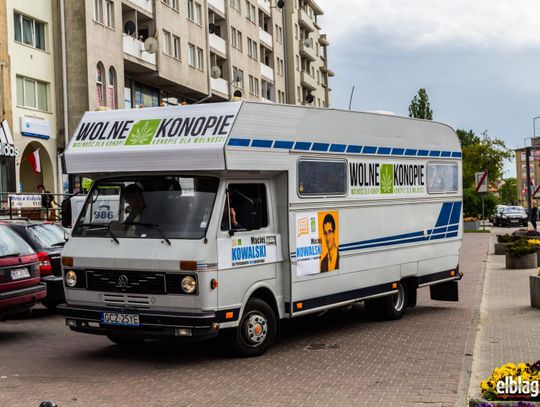 Palikot i Gandziobus w Kaliszu