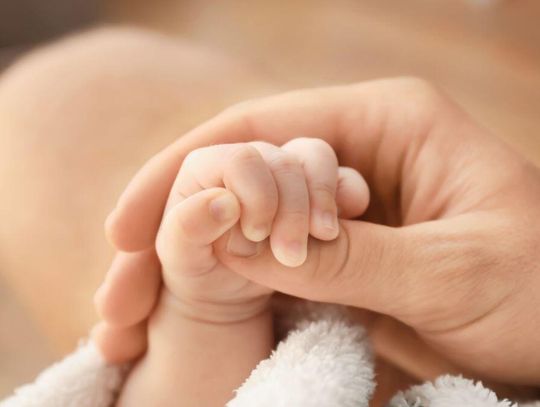 Państwowe in vitro działa. Wszyscy czekają na dziecko nr 1000
