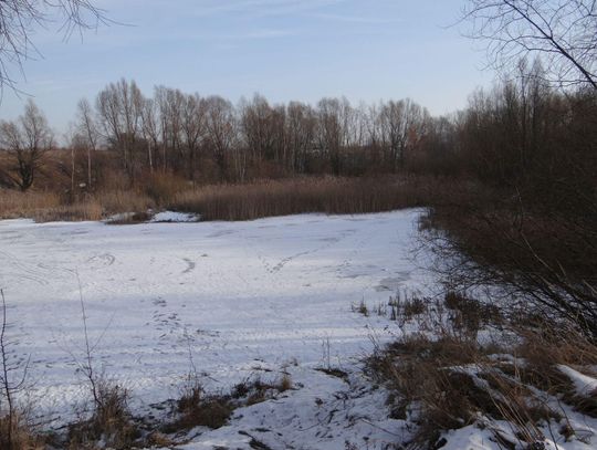 Park czy wysypisko? Kolejny projekt Budżetu Obywatelskiego pod znakiem zapytania