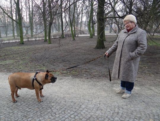 Park psich odchodów