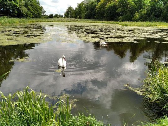 "Pięknieje wielkopolska wieś". Świetlice, place zabaw, działania aktywizujące ZDJĘCIA