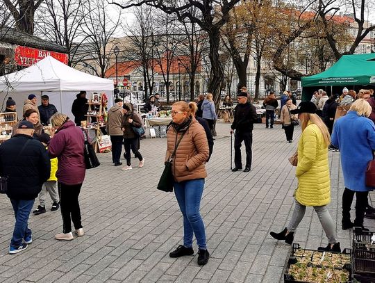 Pierwszy weekend kwietnia. Co będzie się działo w Kaliszu?