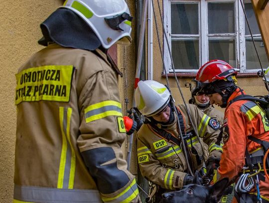 Pies utknął w zbiorniku do kiszenia kapusty. Pomogli strażacy