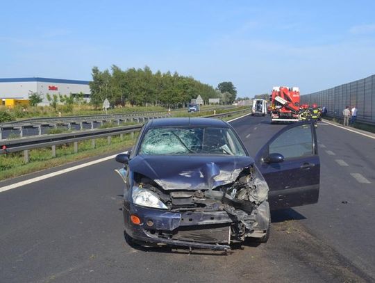 Pijany i naćpany uciekał przed policją. Popełnił 67 wykroczeń ZDJĘCIA