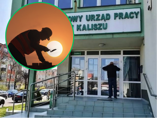 Pilnie poszukiwani! W tych zawodach pracuje rąk do pracy