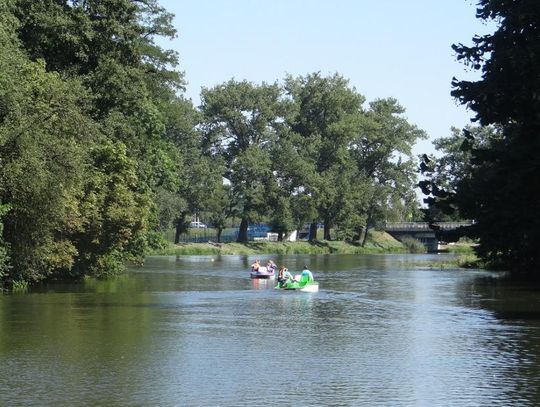 Plaża nad Prosną