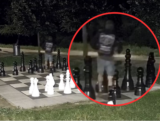 Po co mu to? Ktoś ukradł szachową figurę z Parku Przyjaźni