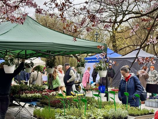 Po raz pierwszy w tym roku! Zapraszamy na Targ na Plantach