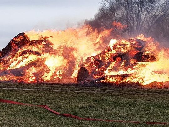 Podkładał ogień i przyglądał się akcjom gaśniczym. 26-letni piroman jest już w rękach policji ZDJĘCIA