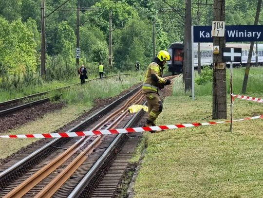 Policja ustaliła tożsamość mężczyzny, który zginął pod kołami pociągu na Winiarach