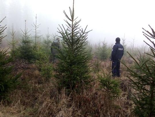 Policja w lasach i na bazarach. Trwa kontrola
