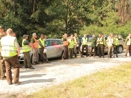 Policzyli straty w lasach. Najwięcej szkód wiatry wyrządziły w Brzezinach