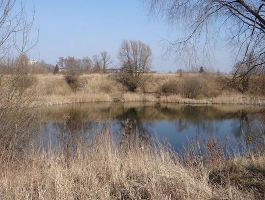 Pomost, plaża, grill. Jezioro Grona będzie zagospodarowane ZDJĘCIA