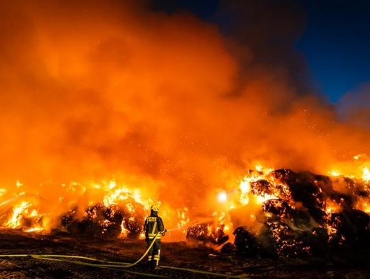 Ponad 80 strażaków i 13 godzin w akcji. Ogromne straty po pożarze stogu słomy w gminie Koźminek ZDJĘCIA