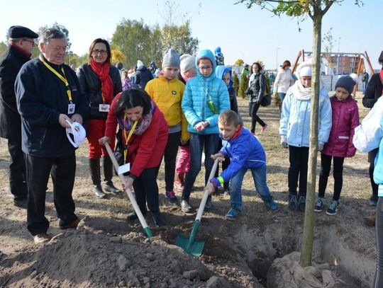 Posadzili 2000 drzew - dostali nagrodę