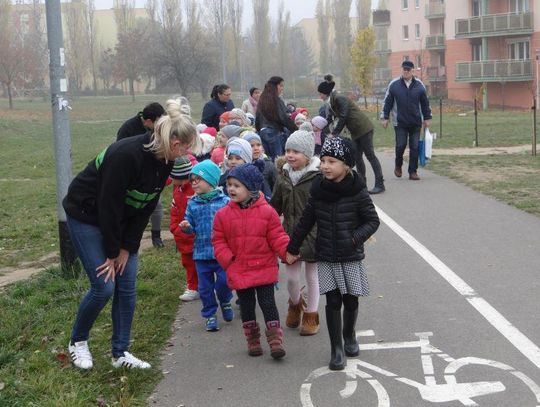 Posadzili klony na Dobrzecu ZDJĘCIA