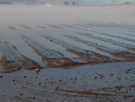 Potężna burza nad regionem, ogromne straty. Rolnicy: „Od nowa, od zera” WIDEO