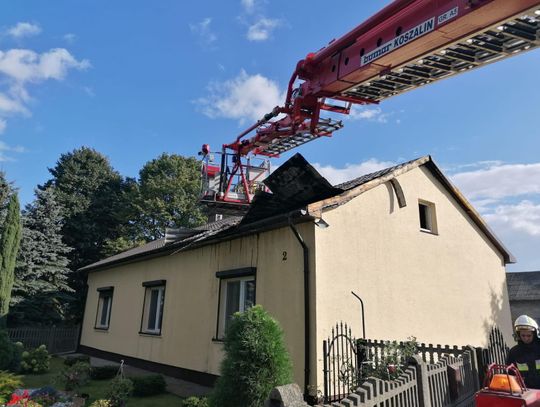 Pożar budynku mieszkalnego w miejscowości Werginki. Oprócz ognia strażacy walczyli też z... owadami