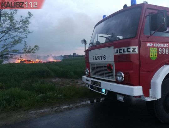 Pożar drewnianej stodoły w gminie Mycielin ZDJĘCIA i WIDEO