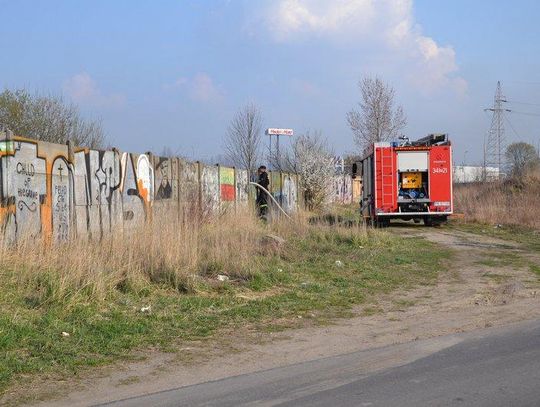 Pożar trawy na Bujnickiego