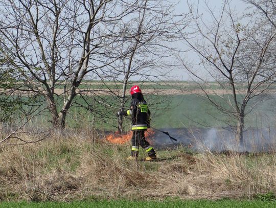 Pożar trawy na Dobrzecu ZDJĘCIA