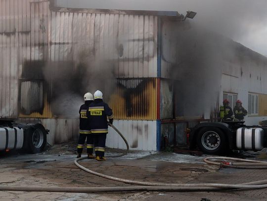 Pożar w salonie samochodowym w Ociążu ZDJĘCIA