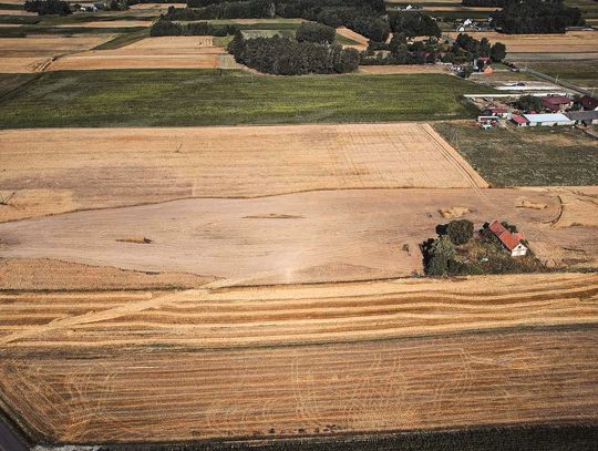 Pożar zboża na pniu. Kilka hektarów poszło z dymem