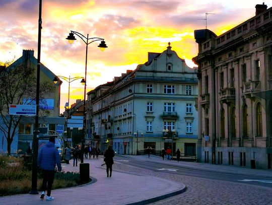 Praca w Kaliszu i okolicach NOWE OFERTY