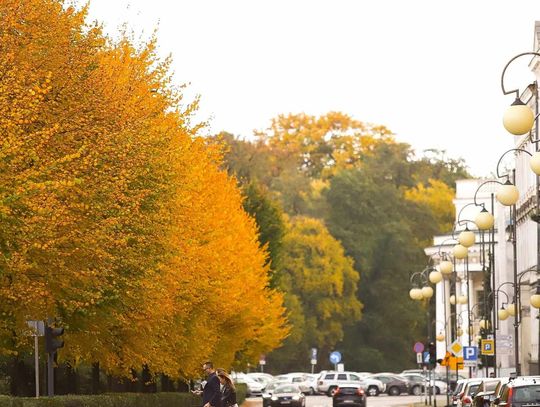 Praca w Kaliszu i okolicach NOWE OFERTY