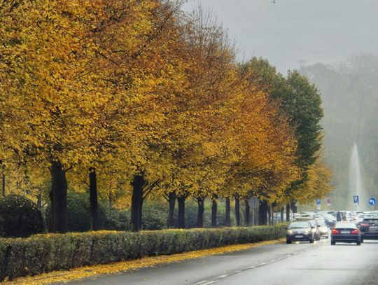 Praca w Muzeum, szkole czy w DPS. NOWA GIEŁDA PRACY